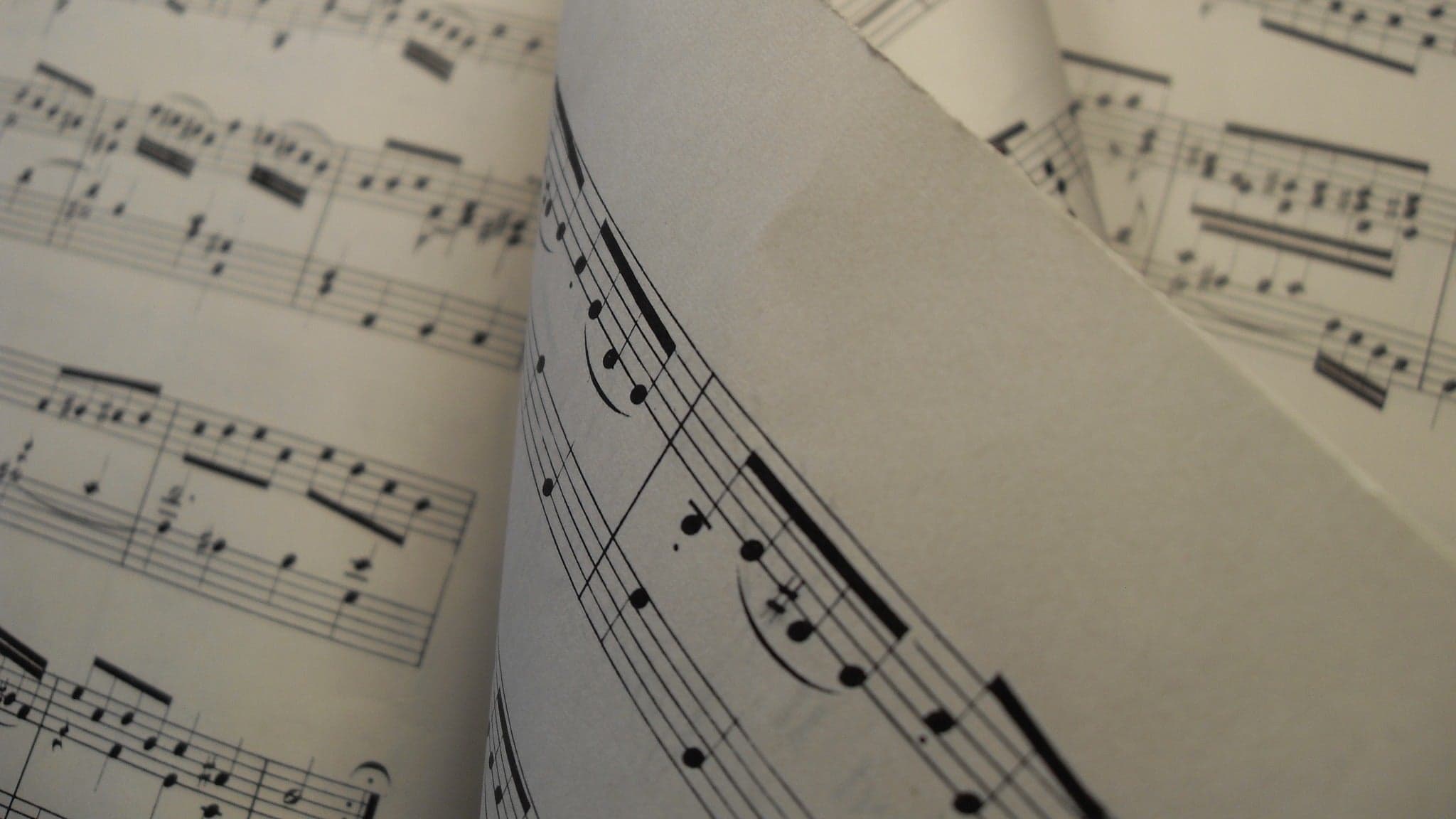 Refuge x Natty x Love Forever